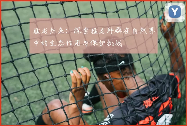 猛龙归来：探索猛龙种群在自然界中的生态作用与保护挑战