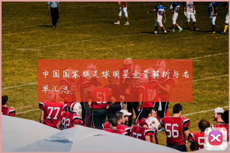 中国国家级足球明星全景解析与名单汇总