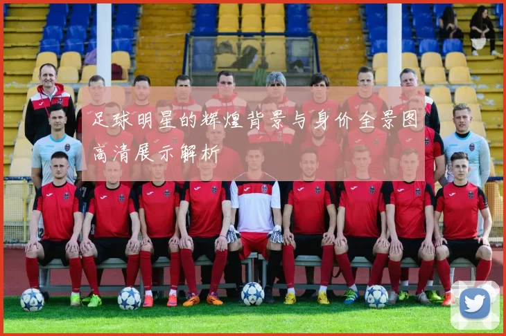 足球明星的辉煌背景与身价全景图高清展示解析