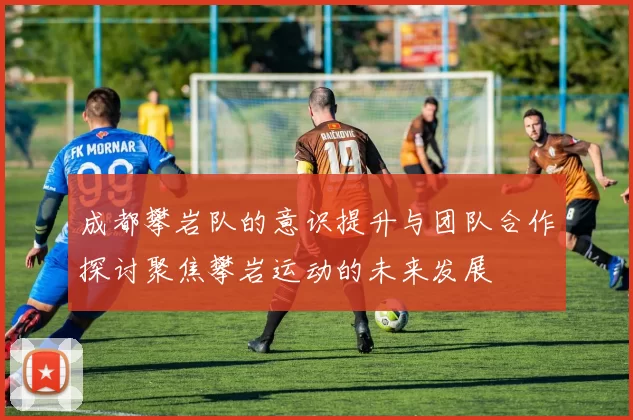 成都攀岩队的意识提升与团队合作探讨聚焦攀岩运动的未来发展