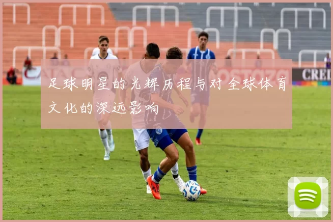 足球明星的光辉历程与对全球体育文化的深远影响