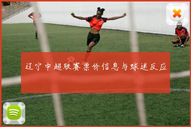 辽宁中超联赛票价信息与球迷反应
