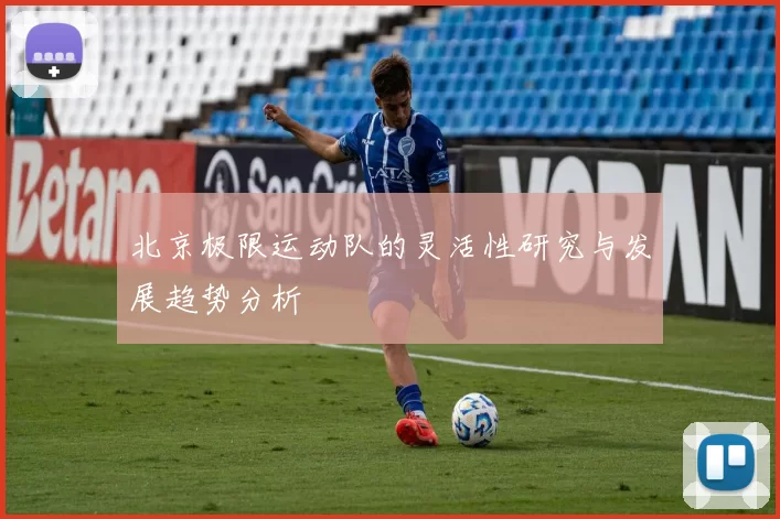 北京极限运动队的灵活性研究与发展趋势分析