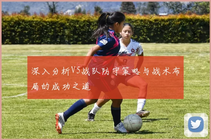 深入分析V5战队防守策略与战术布局的成功之道
