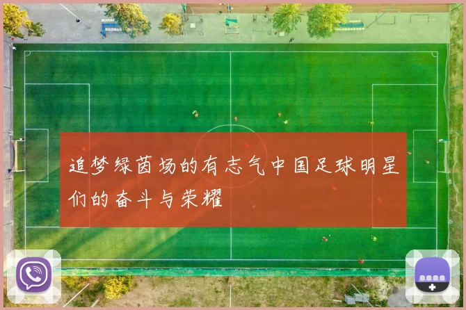 追梦绿茵场的有志气中国足球明星们的奋斗与荣耀