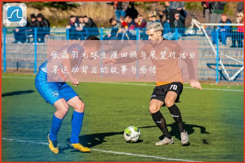 张磊羽毛球生涯回顾与展望对话分享运动背后的故事与感悟