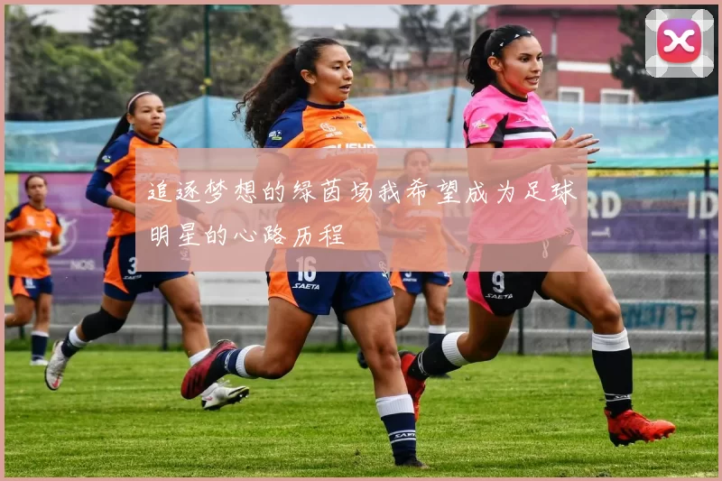 追逐梦想的绿茵场我希望成为足球明星的心路历程