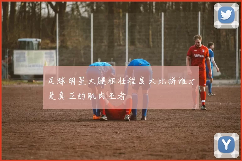 足球明星大腿粗壮程度大比拼谁才是真正的肌肉王者