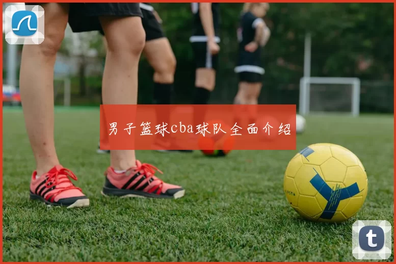 男子篮球cba球队全面介绍
