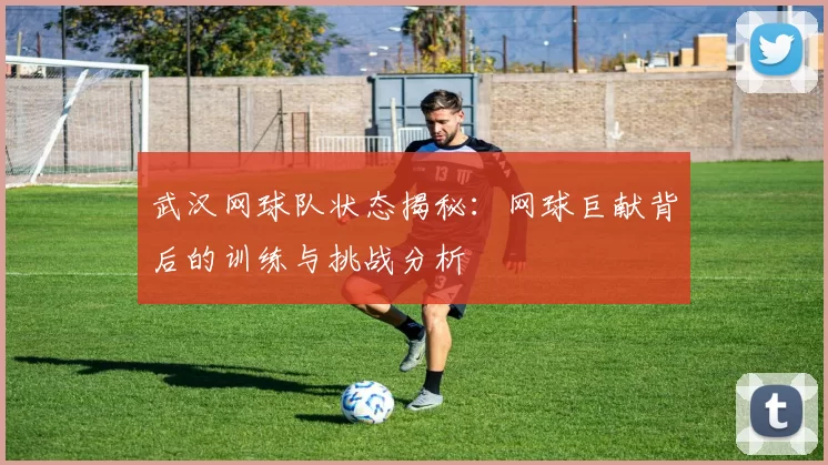 武汉网球队状态揭秘：网球巨献背后的训练与挑战分析