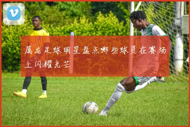 属龙足球明星盘点哪些球员在赛场上闪耀光芒