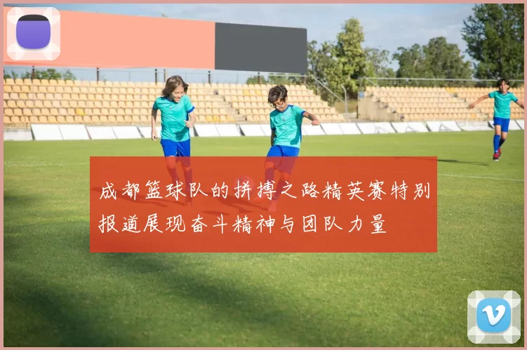 成都篮球队的拼搏之路精英赛特别报道展现奋斗精神与团队力量