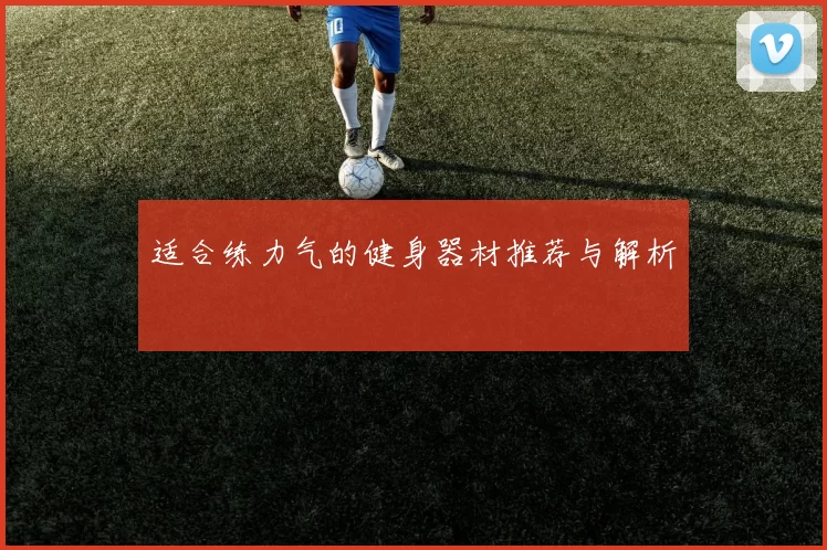 适合练力气的健身器材推荐与解析