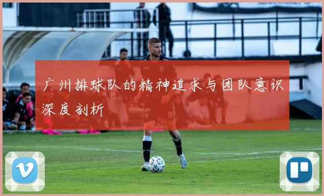 广州排球队的精神追求与团队意识深度剖析