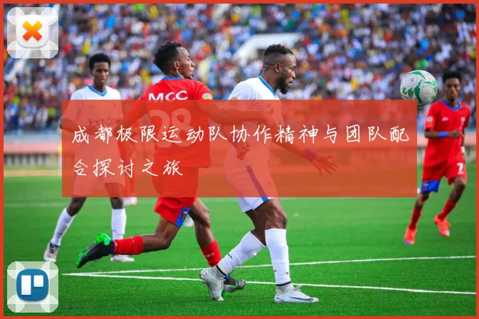 成都极限运动队协作精神与团队配合探讨之旅