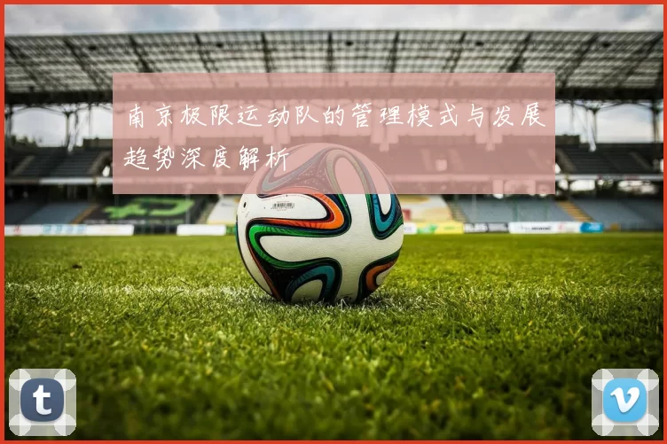南京极限运动队的管理模式与发展趋势深度解析