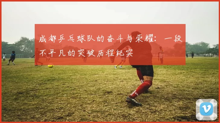 成都乒乓球队的奋斗与荣耀：一段不平凡的突破历程纪实