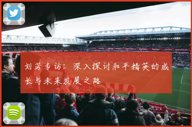 刘芳专访：深入探讨和平精英的成长与未来发展之路