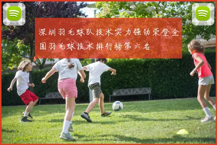 深圳羽毛球队技术实力强劲荣登全国羽毛球技术排行榜第六名
