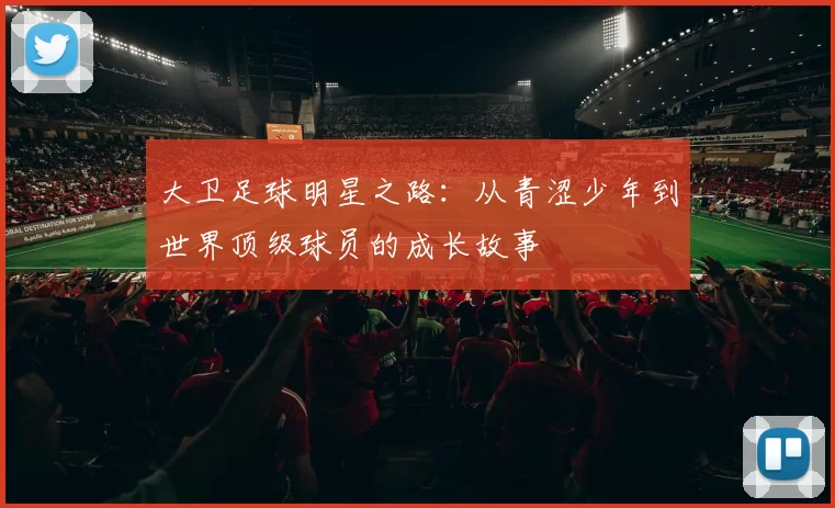 大卫足球明星之路：从青涩少年到世界顶级球员的成长故事